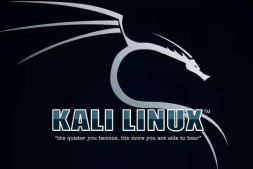 kali操作: 打开ssh服务