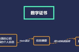 数字证书结构