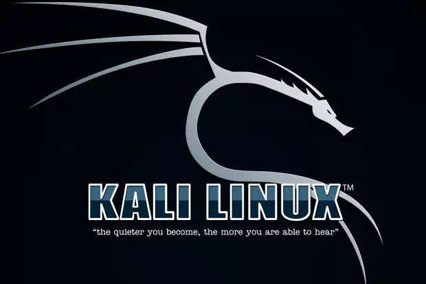 kali操作: 打开ssh服务