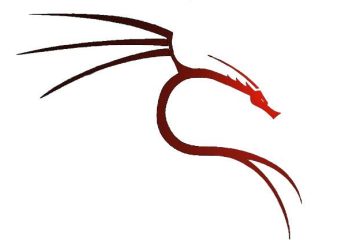 kali渗透: sqlmap详解